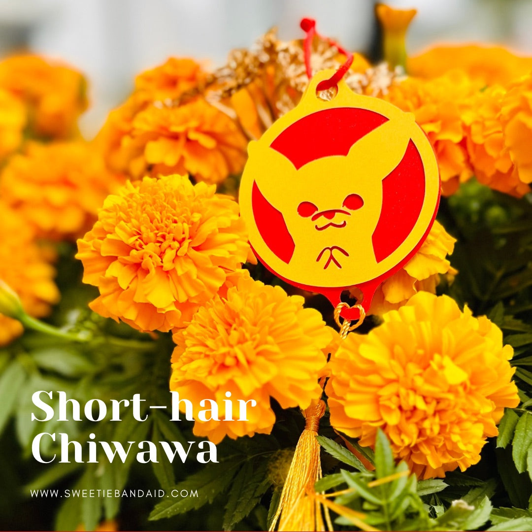 FB/IG follow小禮物(每單限一個)