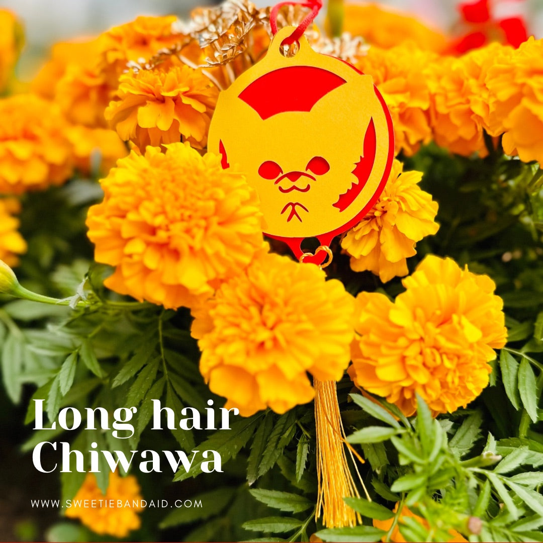 FB/IG follow小禮物(每單限一個)