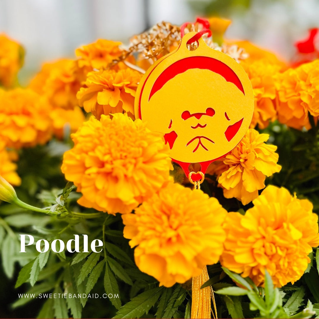 FB/IG follow小禮物(每單限一個)
